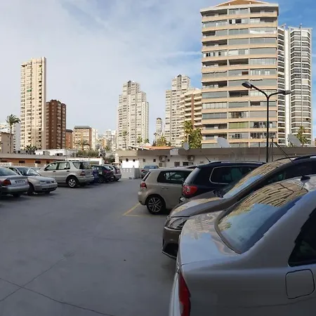 Caballos - Arena *