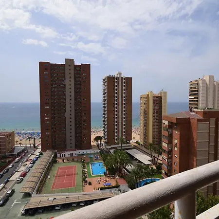 Caballos - Arena Benidorm