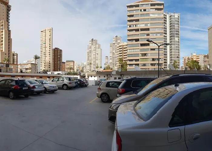 Caballos - Arena *